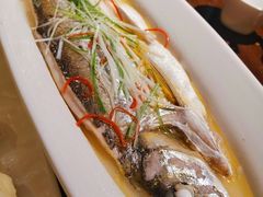 -金枝玉叶上海人家食府(三里河店)