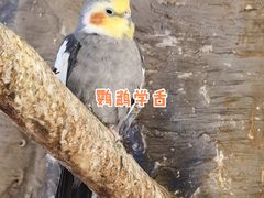 -东四民芳餐厅(世茂工三店)