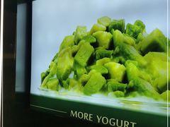 -茉酸奶(春熙路店)