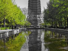 -玲珑塔公园