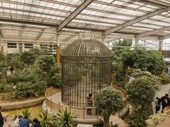 -南宫五洲植物乐园