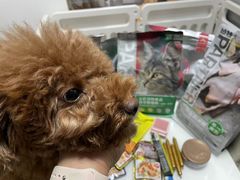 -喜洋洋宠物医院(震川路总店)