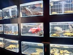 -鱼翅楼·津派砂锅鱼翅(水上公园店)
