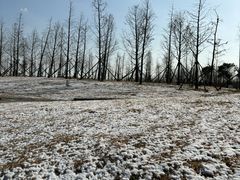 -盐城丹顶鹤湿地生态旅游区