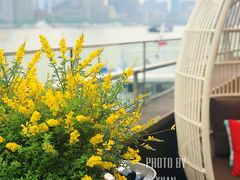 -三利音·浦之舟(滨江大道店)