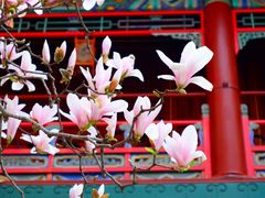 -潭柘寺景区