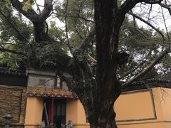 -无锡惠山寺