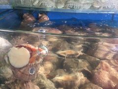 -渔中舟海鲜大排档(普陀沈家门店)