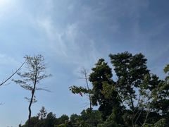-大屏嶂森林公园