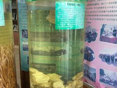 -北京鹿世界主题园