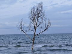 -青海湖二郎剑景区