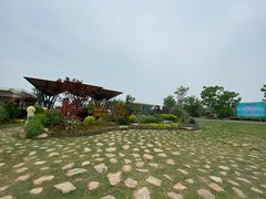 -上海长兴岛郊野公园