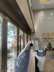 -碧莲盛·不剃发植发