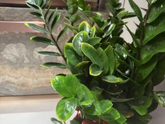 -荔湾足浴·按摩·SPA会所(龙华店)