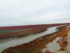 -红海滩国家风景廊道
