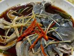 -煲来饱去冷水鱼