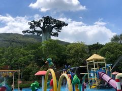 -苏州乐园森林水世界