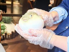 -肆月河豚·淮扬菜·湘菜(华天店)