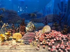 -国家自然博物馆