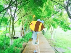 -紫颐香薰山谷景区