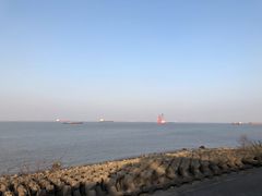 -上海滨江森林公园