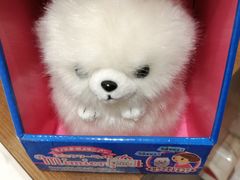 -台场海滨公园船码头