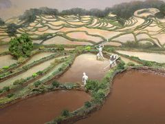 -中国湿地博物馆