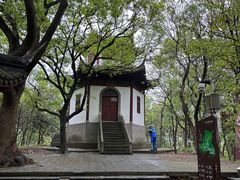 -上海佘山国家森林公园天马山园