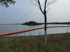 -天津东丽湖风景区