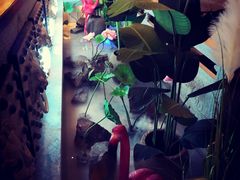 -十二饭点·川菜(北站圆融店)