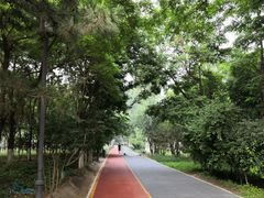 -大兴滨河森林公园