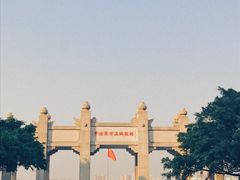 -中山大学学者灵芝(园南路店)