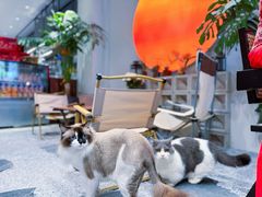 -seeu coffee(江滩店)