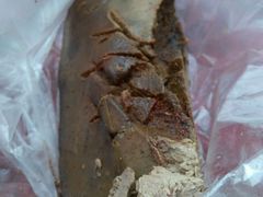 -土门八珍烤鸡腊味店(土门老店)