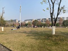 -金海湾滨江公园