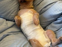 -天津前进宠物医院(前进道店)