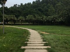 -南国桃园旅游度假区