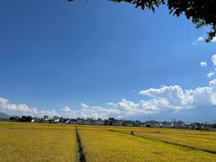 -喜林苑·稻田餐厅(品相府店)