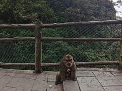 -峨眉山风景名胜区