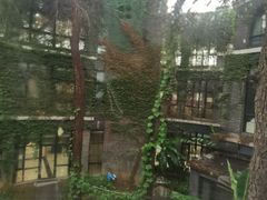 -福田家月子中心 产后 月嫂(市立母子医院店)