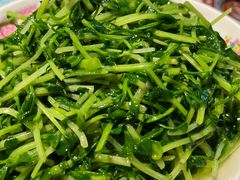 鸡油炒豆苗-细记港九宵夜大牌档(南京西路丰盛里店)