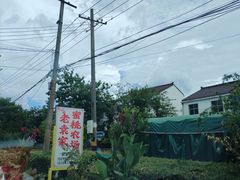 -老袁家蜜桃农场·阳山水蜜桃