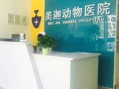 -美迦爱-牙专科·兔科·骨科诊疗中心(北苑店)
