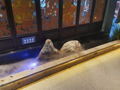 -渝乡辣婆婆·川菜 水煮鱼(安平店)