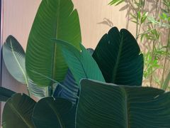 -鲜芋仙(高新益田假日里店)