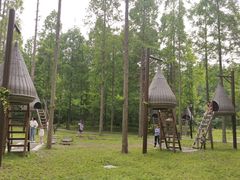 -黄海国家森林公园