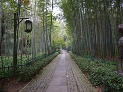 -云栖竹径