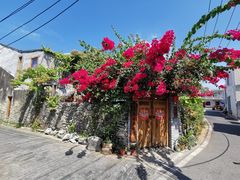 -三亚西岛海洋文化旅游区