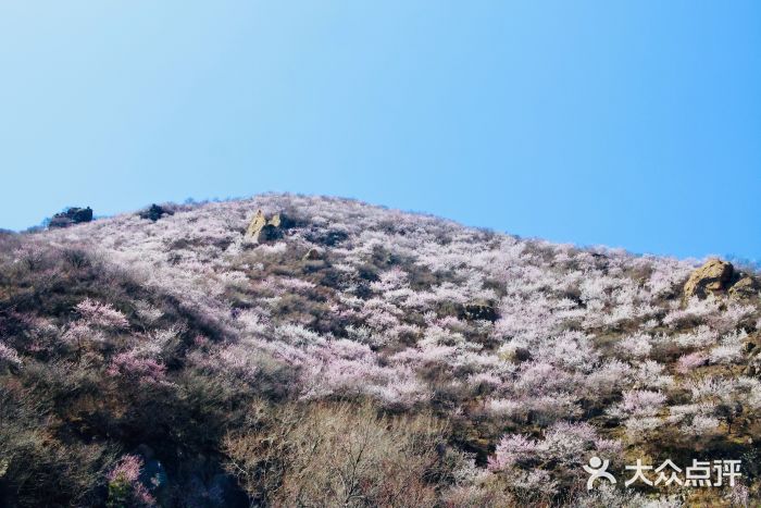 妙峰山风景名胜区图片