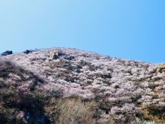 -妙峰山风景名胜区